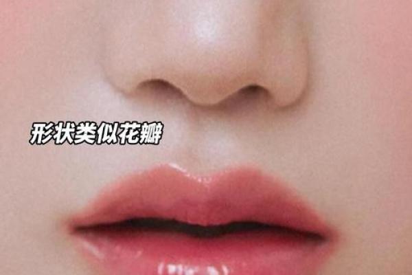 男性上下唇厚的命运解析：从唇形看魅力与性格