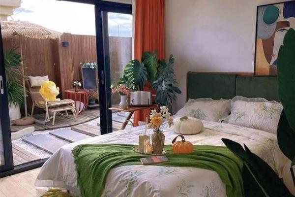 木命人适合的住宅:营造阳光明媚的生活空间 木命人适合的住宅:营造阳光明媚的生活空间