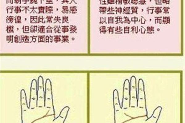 揭密手相与风水:你的命运从掌纹中说起 揭密手相与风水:你的命运从掌纹中说起
