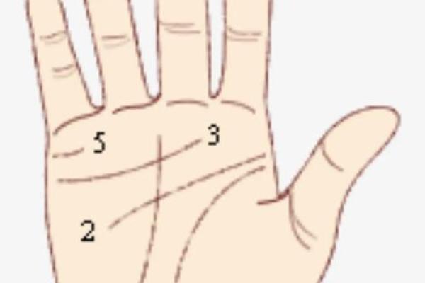 揭密手相与风水:你的命运从掌纹中说起 揭密手相与风水:你的命运从掌纹中说起