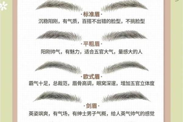 分析男人眉型与富贵命的关系,揭示你的财富潜力! 分析男人眉型与富贵命的关系,揭示你的财富潜力!