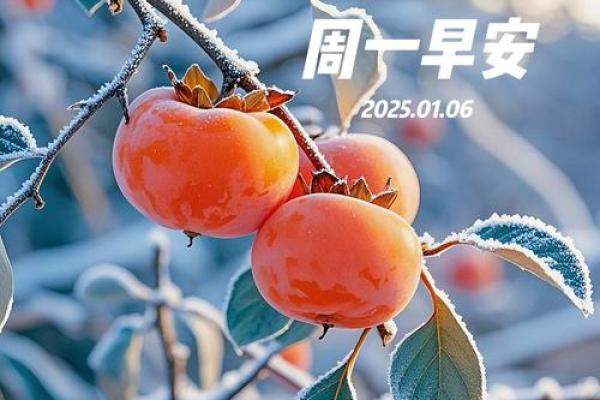 农历正月初七出生的女孩，命运与性格的奇妙探寻