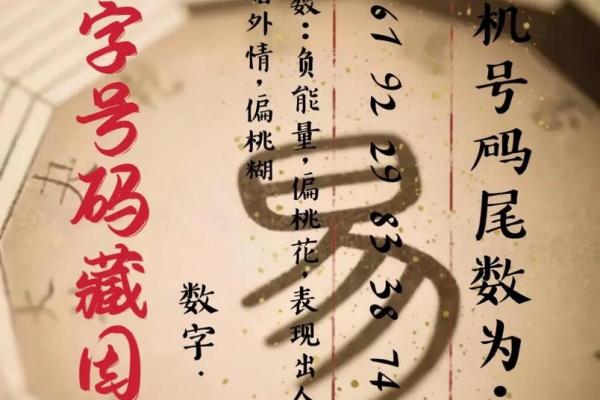 揭开女命枭比食的神秘面纱:解析女性命理中的奇妙组合 揭开女命枭比食的神秘面纱:解析女性命理中的奇妙组合