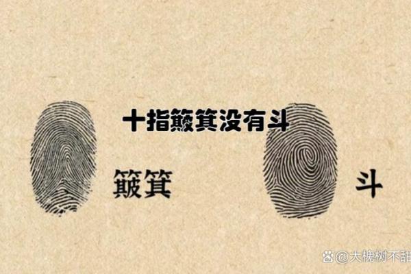 男子九斗一簸箕的命运解析:从流年看人生转机与机遇 男子九斗一簸箕的命运解析:从流年看人生转机与机遇