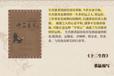 属猪女11月出生的命运解析：她们的性格与人生轨迹