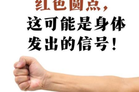 揭秘女人胳膊粗的命理特征与人生运势
