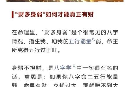 偏财格身强女命的深层解析与运势揭示