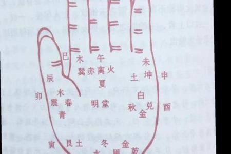 女人手上十个螺纹的命运解析：揭示隐藏的命运秘密