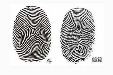 解密手纹中的七个簸箕：探寻命运的奥秘与隐秘符号