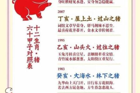 属猪1985年出生的命运解析：一生的幸运与挑战