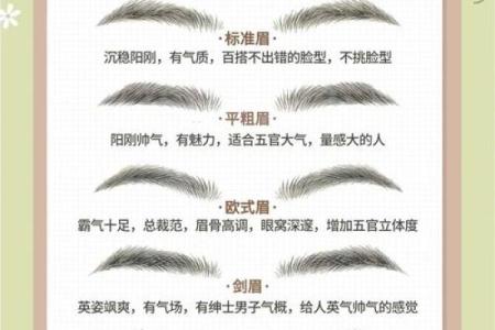 分析男人眉型与富贵命的关系，揭示你的财富潜力！
