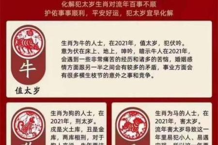 属猴人正月十四亥时命理分析：智慧与激情的完美结合