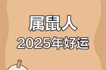 揭秘属鼠人的命理特征：金木水火如何影响他们的命运与生活