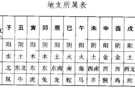 揭开天干己与地支寅的神秘面纱：了解属于你的命理特征