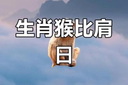 揭秘属猴54岁人的命运与人生哲学