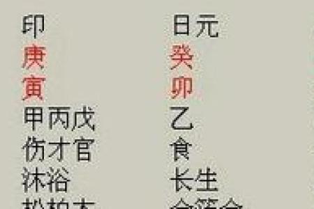 伤官格女命：揭示她们的喜好与命运之路