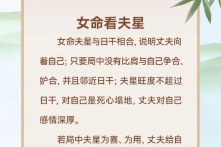 男命与女命：最配对的命理组合探讨