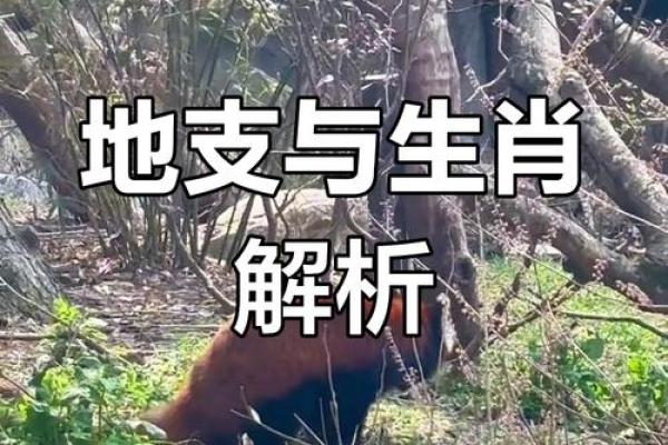 生肖羊马五行命理的深刻探索:解读与智慧之旅 生肖羊马五行命理的深刻探索:解读与智慧之旅