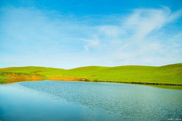 属马人士三十三岁命运解析，精彩人生如何踏马而行？