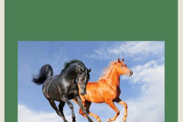 属猴的马烈如日中——探秘十二生肖的命理奇缘 属猴的马烈如日中——探秘十二生肖的命理奇缘