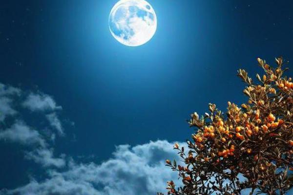 什么时辰的鼠命最为吉利？探寻鼠命人的最佳时机与命运之路