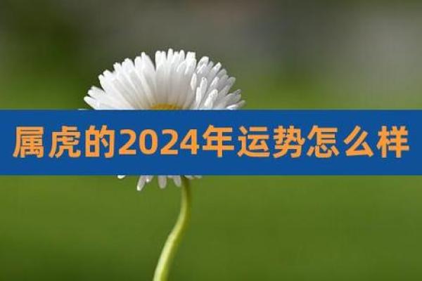 属虎的37岁命运解析:如何把握转机,迎接新机会! 属虎的37岁命运解析:如何把握转机,迎接新机会!