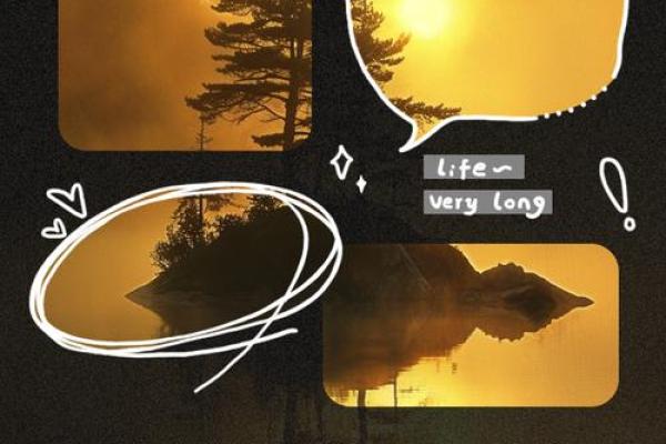 生如鸿毛,命如野草:人生的轻盈与坚韧 生如鸿毛,命如野草:人生的轻盈与坚韧