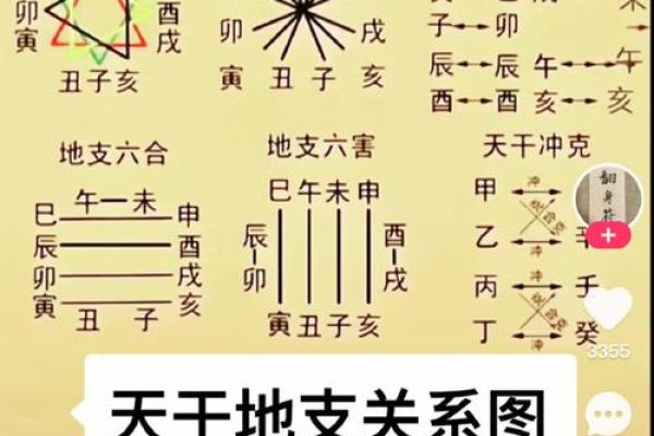 八字双木克土命解析：解开命理中的奥秘与人生智慧