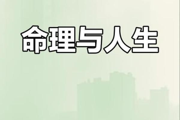 金命与土命：你的属相如何影响人生轨迹？