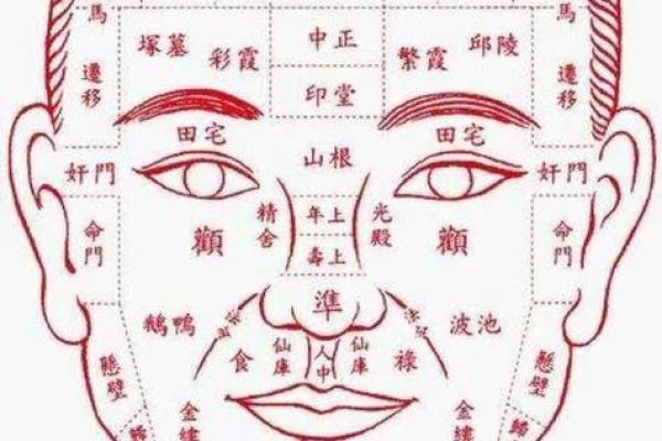 揭秘:不同脸型女性在面相中如何影响婚姻和伴侣命运 揭秘:不同脸型女性在面相中如何影响婚姻和伴侣命运