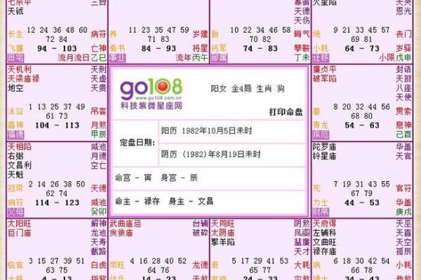 命格解析：哪些命格适合学习紫微斗数，开启人生智慧之门？