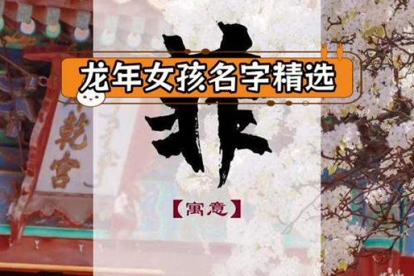 三月初二龙命女孩的幸运与魅力探秘 三月初二龙命女孩的幸运与魅力探秘