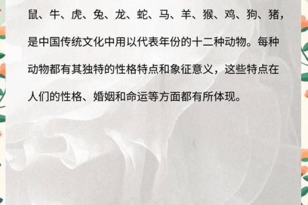 揭秘驱鼠蛇的生肖命运与性格特征