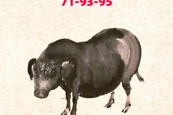 了解属猪的命理特点，解锁2019年的运势之旅！