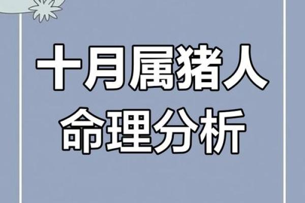 了解属猪的命理特点，解锁2019年的运势之旅！