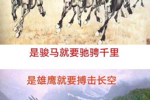 驾驭龙凤命,哪个生肖能主宰我们的命运? 驾驭龙凤命,哪个生肖能主宰我们的命运?