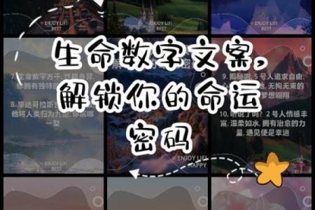 女命当官的时辰解析：解锁命运的秘密与未来之路