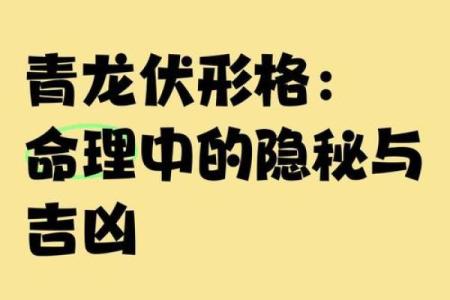 青龙伏形命与职业选择：开启成功之门的秘诀