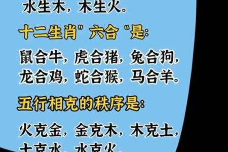 属鸡的五行属性与命运解析：把握人生的节奏与方向