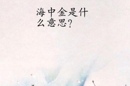 揭秘海中金命：如何算出五行缺失与弥补之道！
