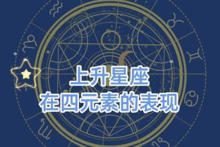 揭开屋上土命的奥秘：如何找到缺失的生命元素