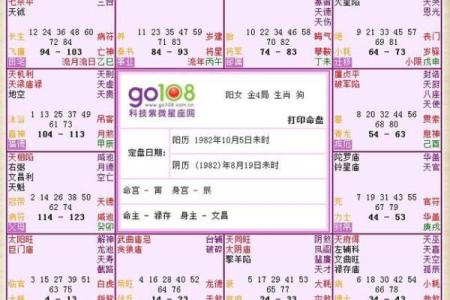 命格解析：哪些命格适合学习紫微斗数，开启人生智慧之门？