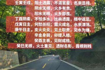 木命五行土多的深刻含义与人生启示