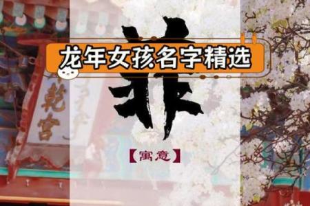 三月初二龙命女孩的幸运与魅力探秘