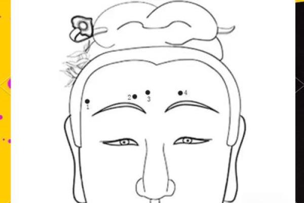 从额头看命运:探秘人生的秘密密码 从额头看命运:探秘人生的秘密密码