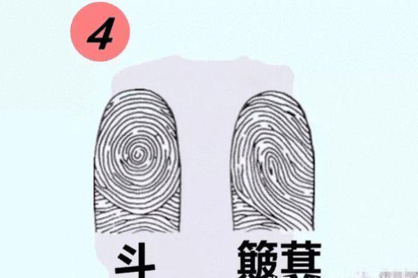 手上没斗是什么命？探寻女性命运的秘密与转机