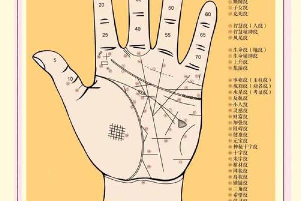 手上没斗是什么命？探寻女性命运的秘密与转机