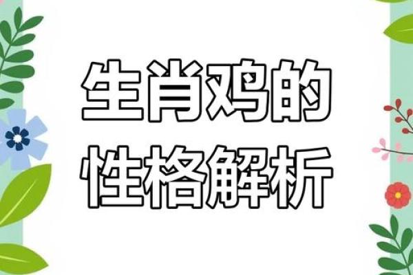 11月出生的属鸡人，命运之旅与性格解析