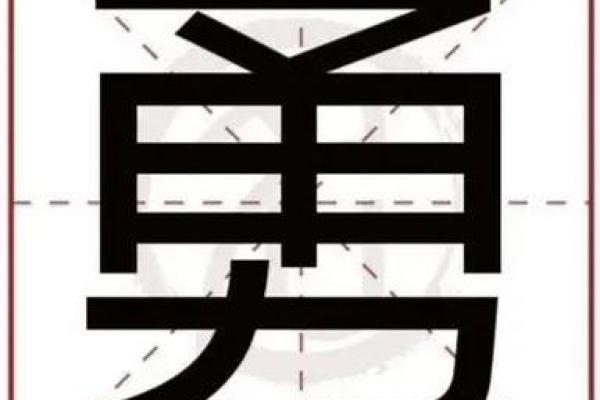 三十二颗牙,解读人生的秘密与命运的关联 三十二颗牙,解读人生的秘密与命运的关联