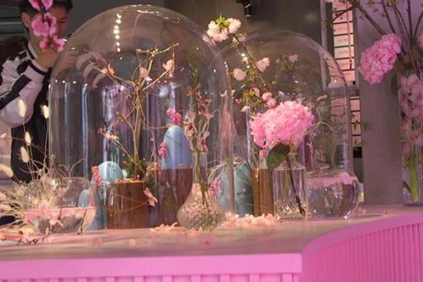 揭开桃花命的神秘面纱：为何枕边人如此吸引？